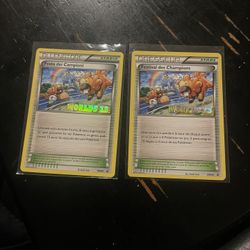 Pokemon Champions Festival BW95 Worlds 13 Black Star Promos