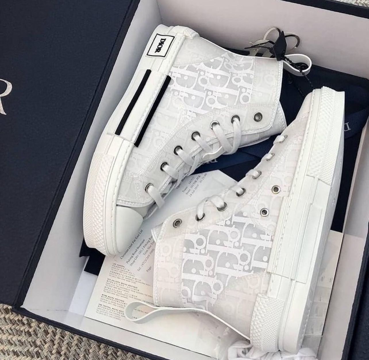 Dior B23 High Oblique Canvas