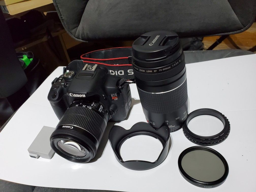 Canon Rebel T5i with two lenses (18-55mm and 75-300mm)