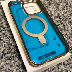 Gold & Transparent Fashion Case IP 14 Pro Max