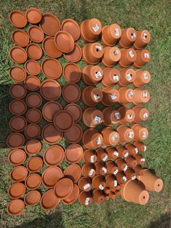 94-Piece Terracotta Pot & Saucer Lot – Pennington – Multiple Sizes