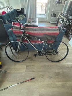 SE BIKE project bike