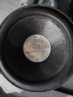 I Have 2 15" Speakers