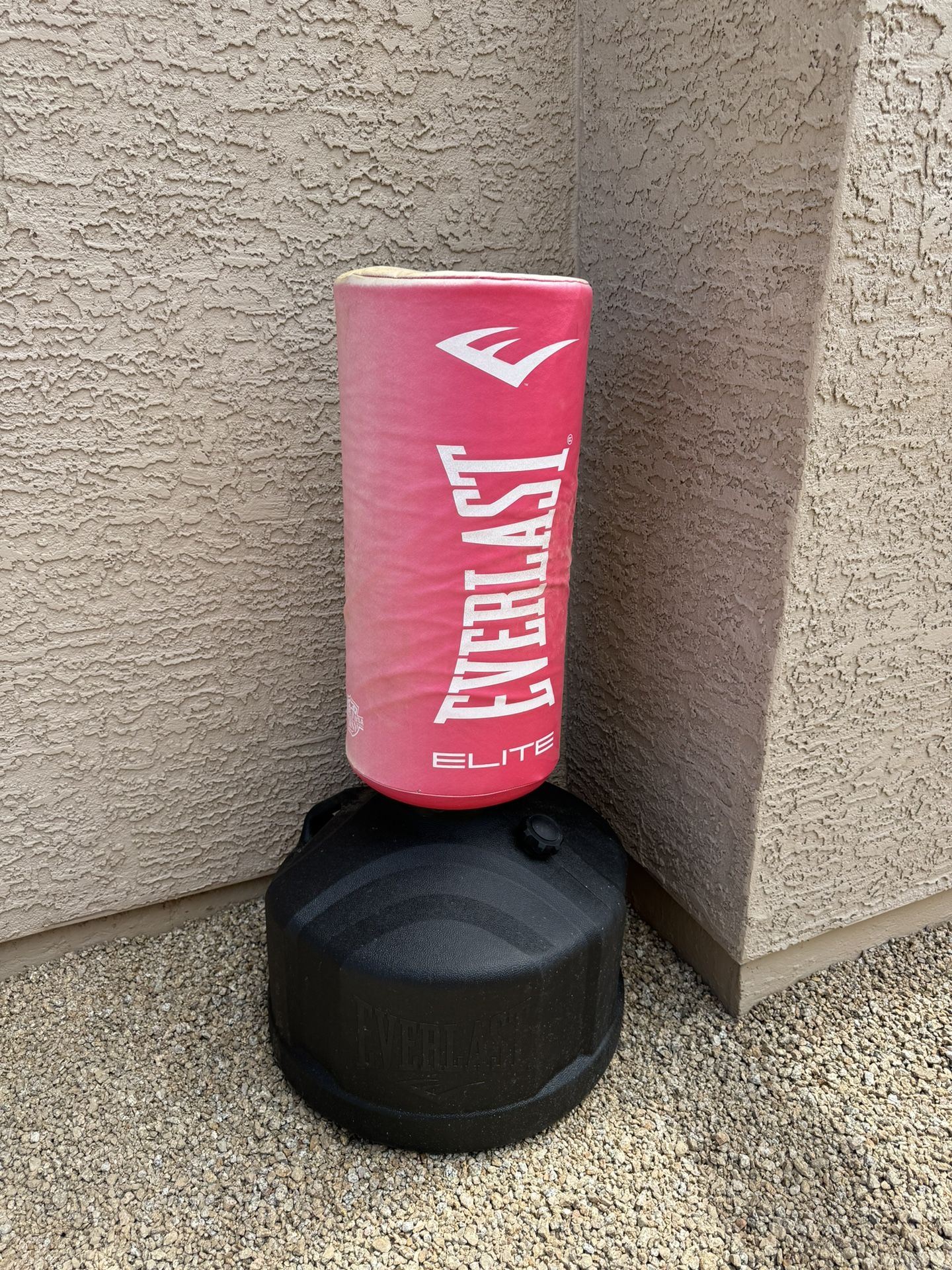 Everlast Punching Bag