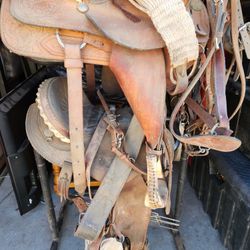 Saddles And Saddle Rack