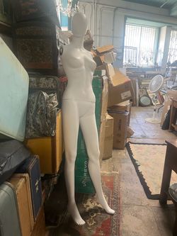 Full Size Mannequin 6 Feet Tall