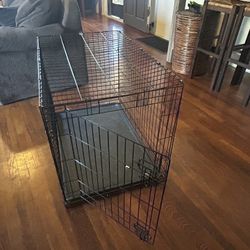 Dog Cage