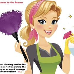 Lil Mamas Cleaners