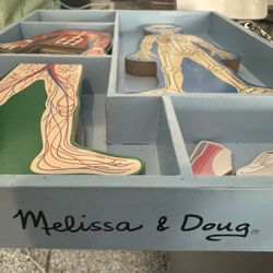 Melissa &Doug Magnetic Human Body Anatomy, Used In Great Condition, No Holds, Deliveries Or Trades.  Same Day PU