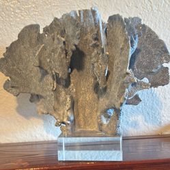 Two's Company Mediterranean Blue Coral Sculpture with Glass Base 