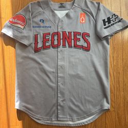 2024 Junior Caminero Leones Del Escogido Game Worn Championship Jersey Size L