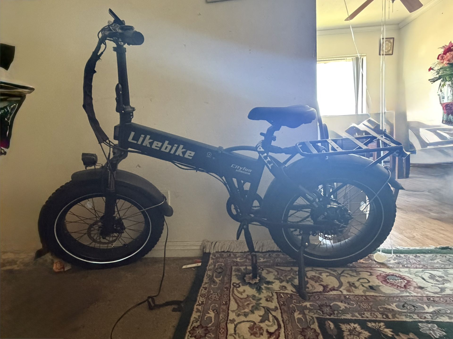 E - Bike
