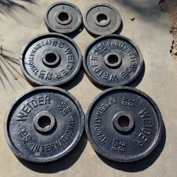 Olympic Weights  120lbs
