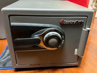 SentrySafe MS0100