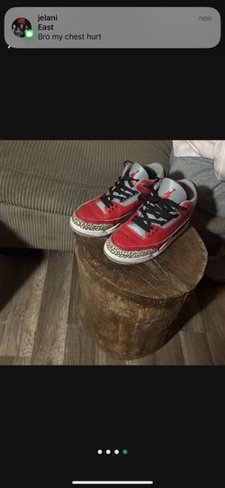 Jordan 3s