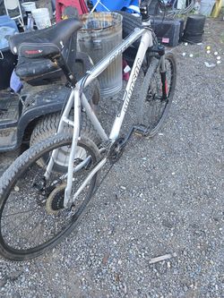 Bike Windsor  cliff 4900