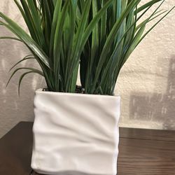 Cute Ceramic Farmhouse Faux Plant