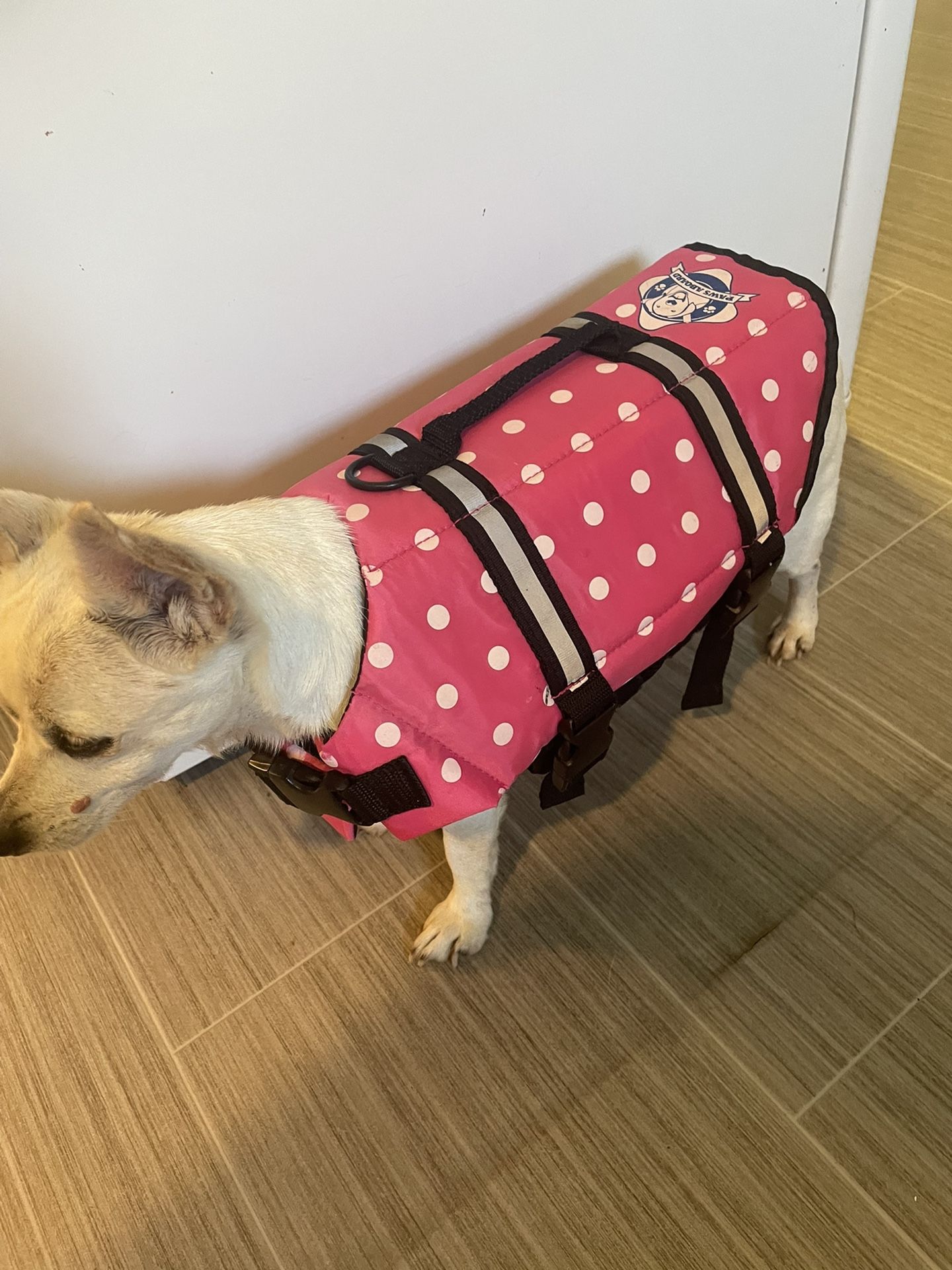 Pet Life jacket Size Small/medium