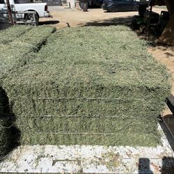 Hay Alfalfa 
