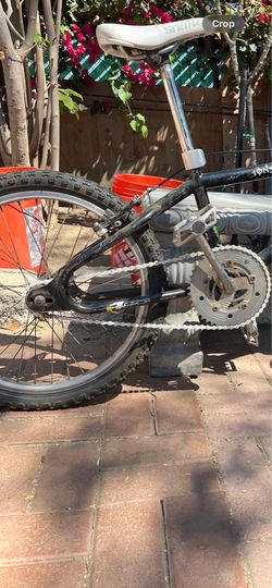 Looptail mongoose menace 1990s
