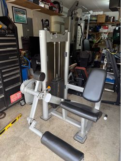 Leg extension leg curl