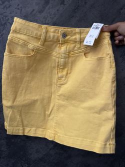 Hollister Co. Skirt 