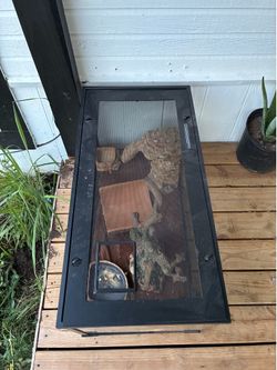 Bearded dragon tank