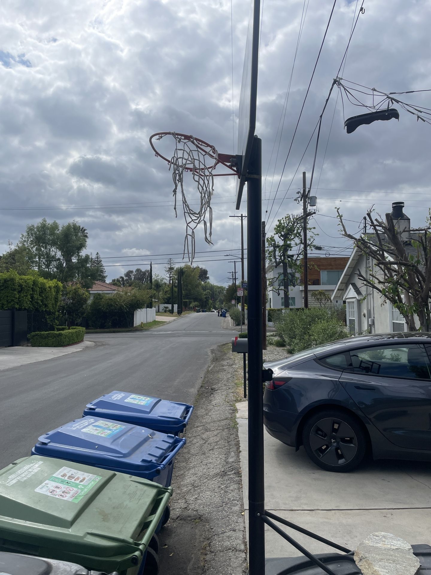 Lifetime 54 Inch Basketball Hoop