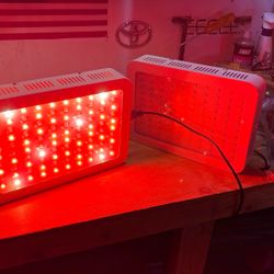 2 Giixer LED Grow light 600 W 100 PCS Dual Chips