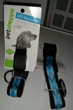 New Dog Collars With Light