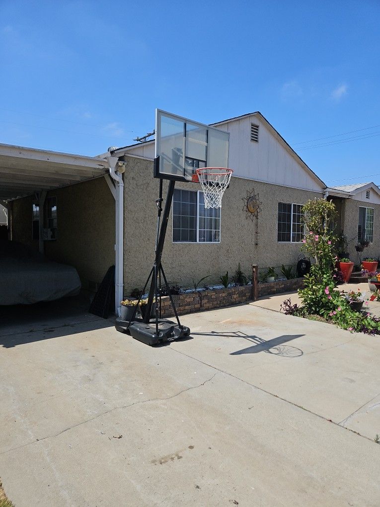 Portable Basketball Hoop