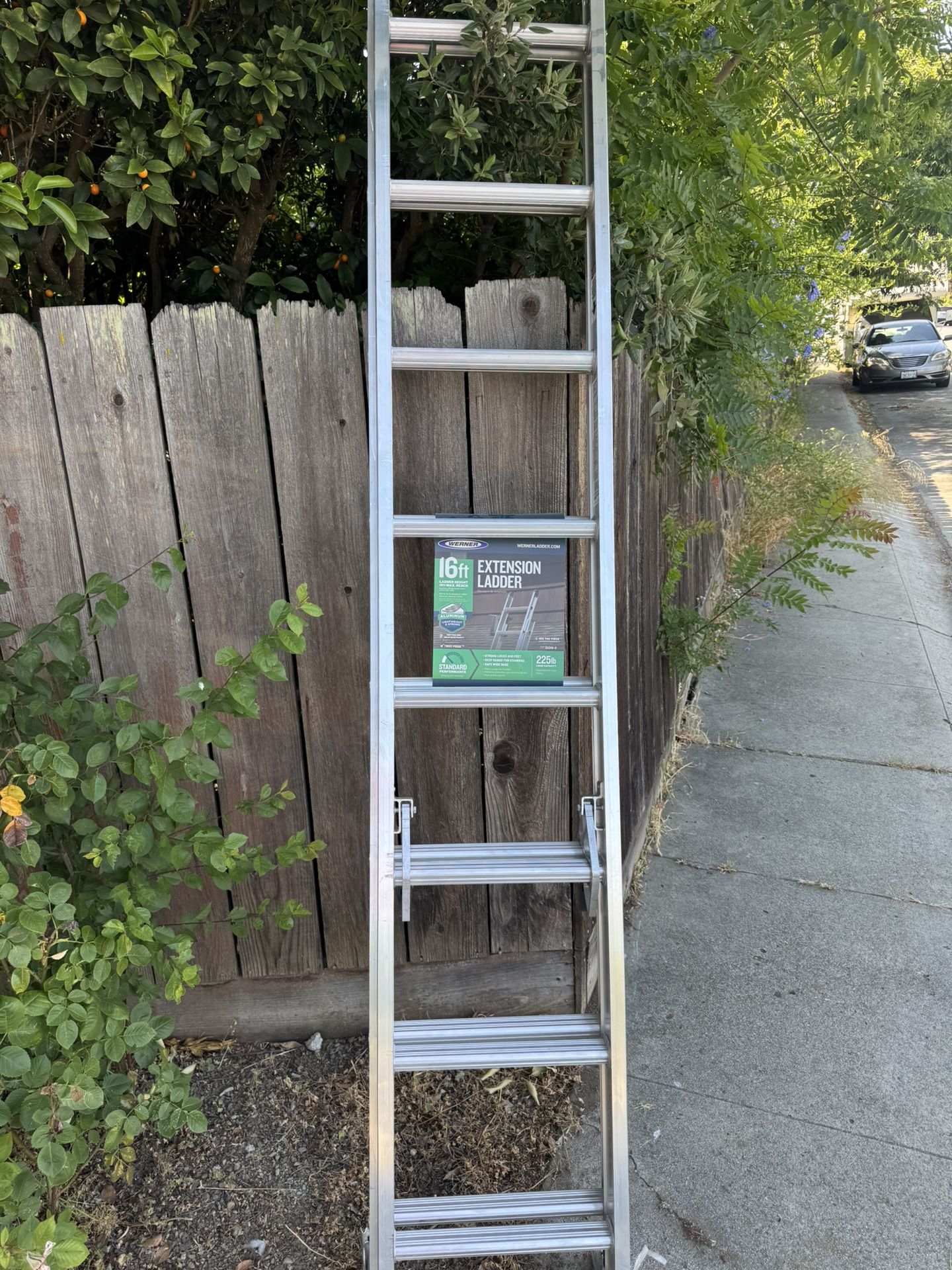 Werner Ladder 16ft