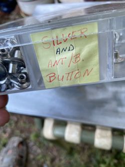 Silver Ant/B Button
