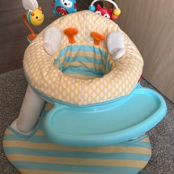 Skip Hop Activity Seat 