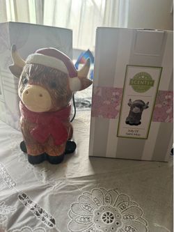 Scentsy warmer