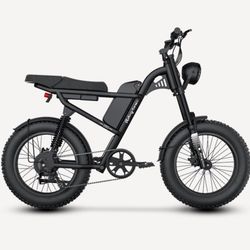 Electric Bike