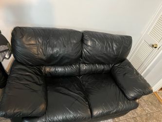 Leather coach