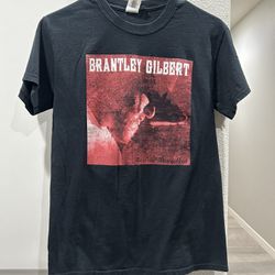 Brantley Gilbert the devil don’t sleep your 2017 adult GILDAN smalll black shirt  