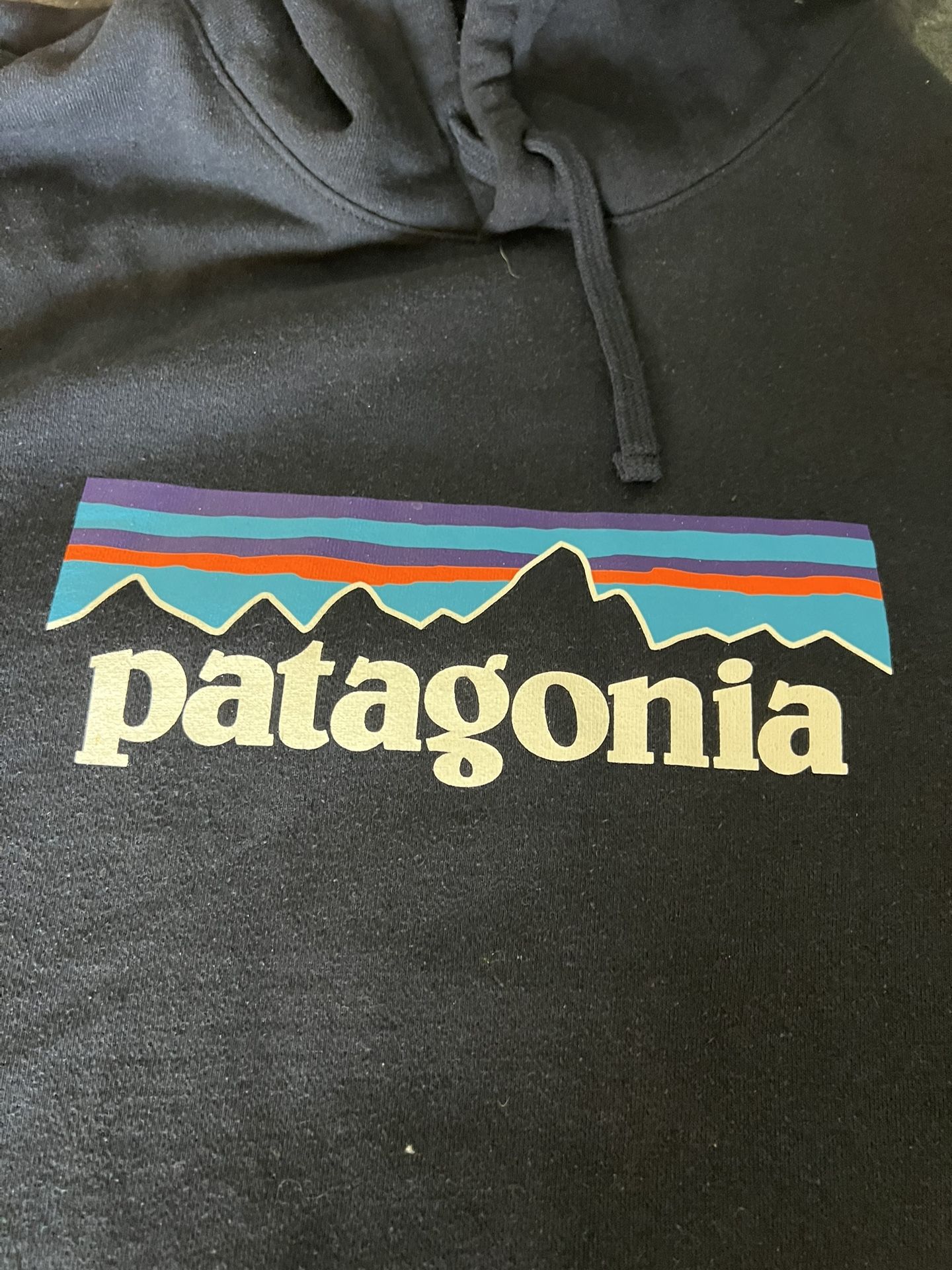 Patagonia Hoodie