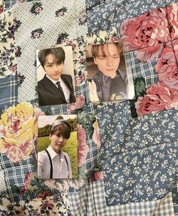Seventeen An Ode Photocards