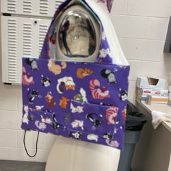 Cat and princess hand bag