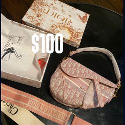 Dior Saddle Bags 