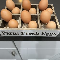 Free Range Fresh Eggs  Hand Gathered / Huevos Frescos De Corral  