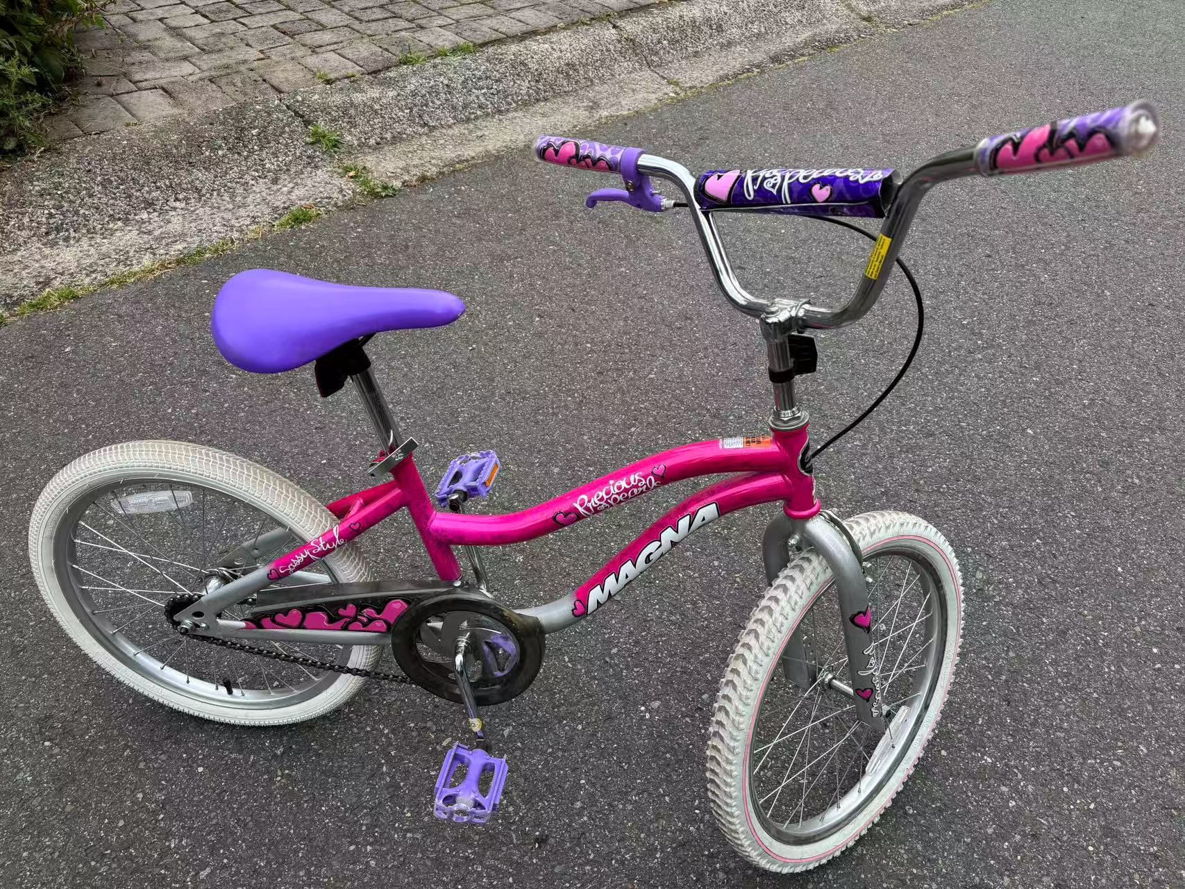 Girl Bike 20’
