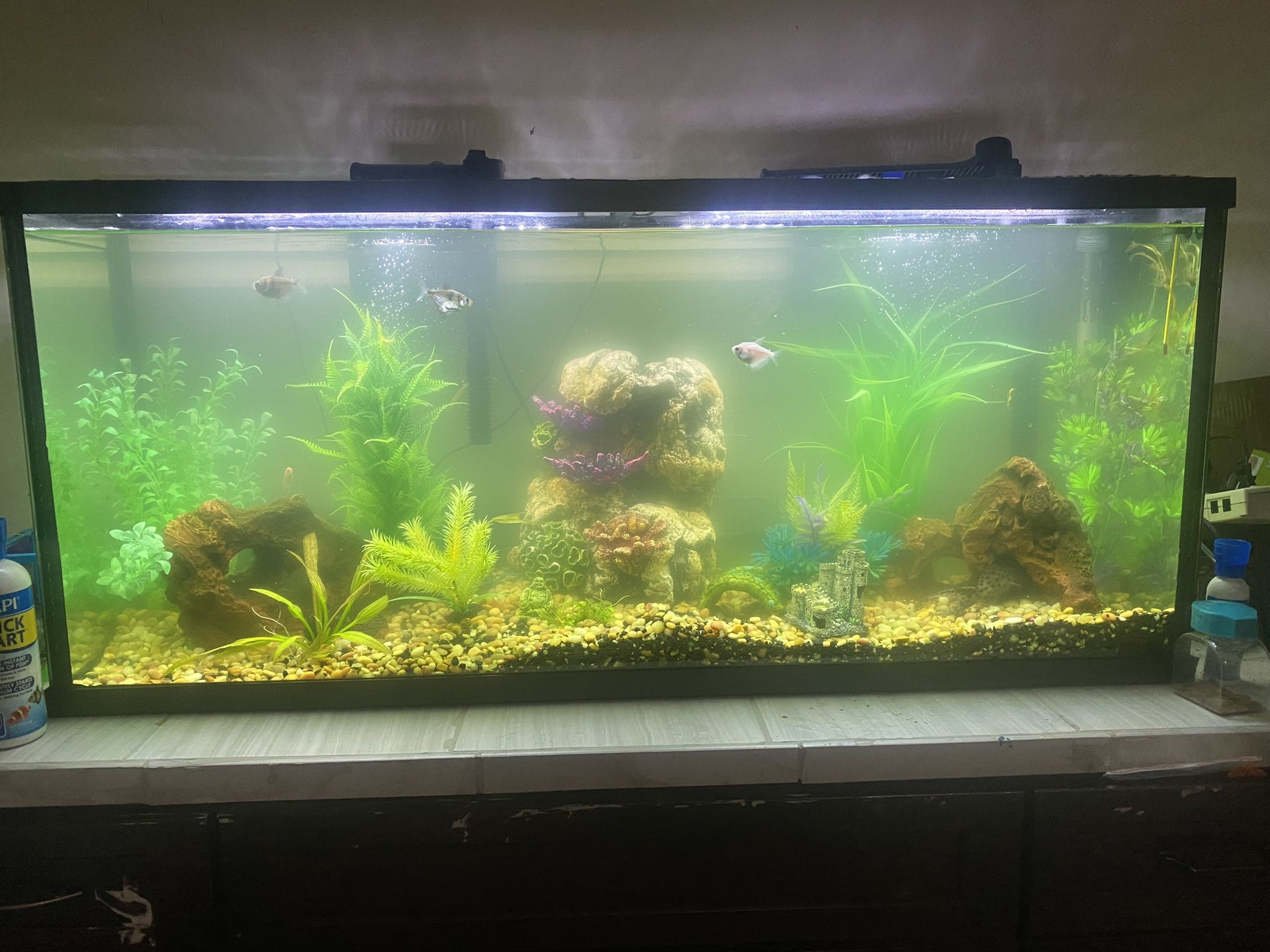 55 Gallon Fish Tank 