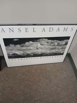 Ansel Adams The American Wilderness Framed Poster