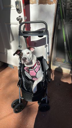2/1 Fancy Dog/Cat Stroller With detachable Carrier Thumbnail
