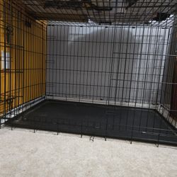 Dog Kennel