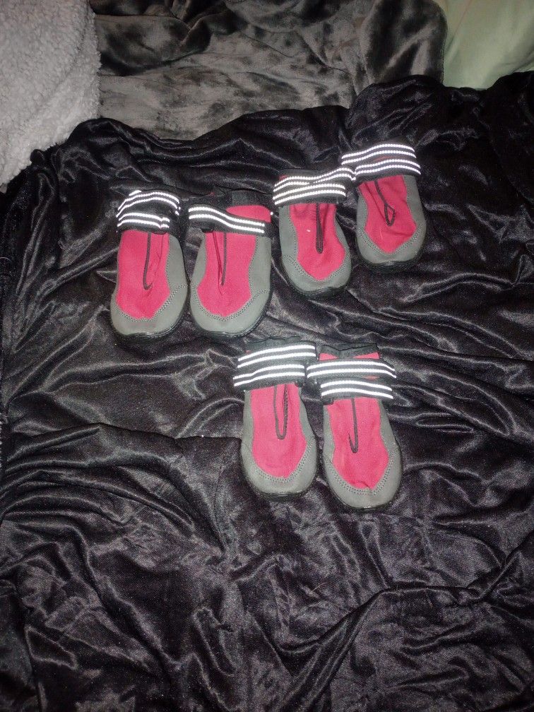 Dog Rain Shoes