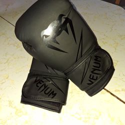 Boxing Gloves 